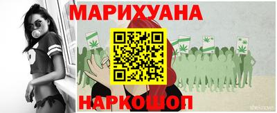 стафф Нальчик