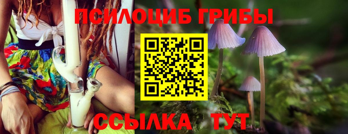 Озёрск  Галлюциногенные грибы мухоморы  Вход с VPN 